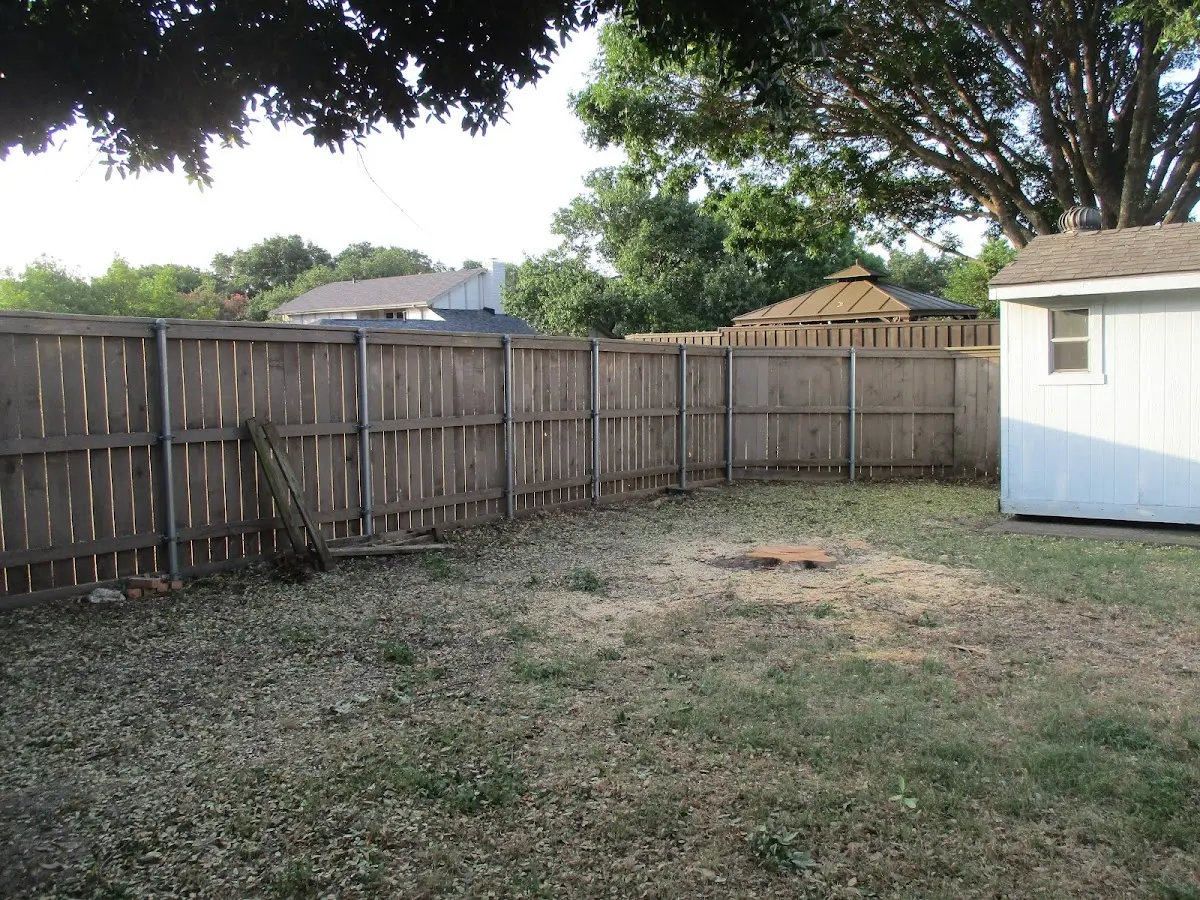 Cleared yard after professional tree removal in New Hampton