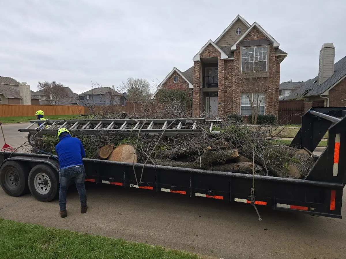 Expert Lot Clearing with proper safety equipment in New Hampton